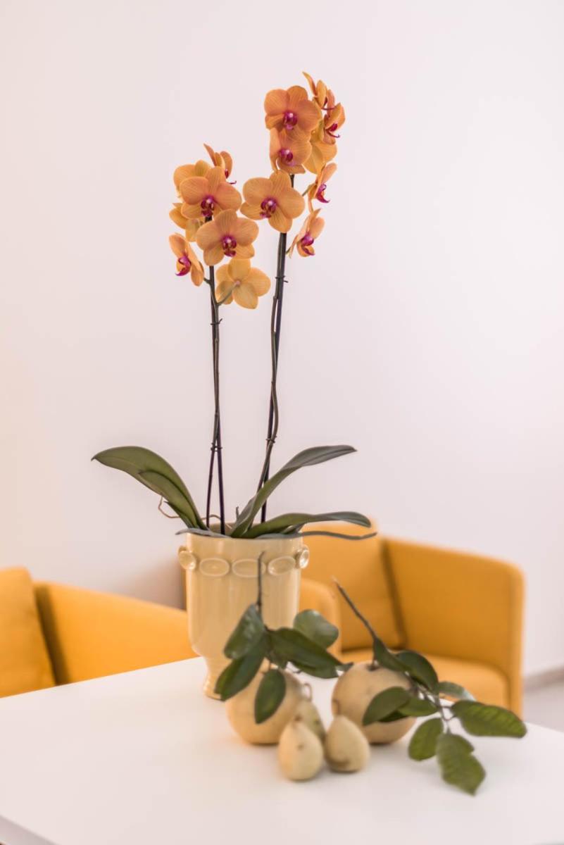 Le Residenze Di Don Nino Apartment Lecce